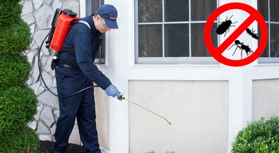 Etimesgut Böcek ve Haşere İlaçlama böcek ilaçlama ve haşere kontrolü — ilaclama-tr.com